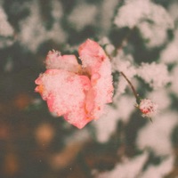 Our Story of Love - Single - SamTheDawn