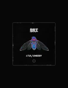 Adacic: песни, клипы, биография, даты выступлений и многое другое.