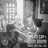Music That You Like - Single - Leo Cap & Ternion Sound