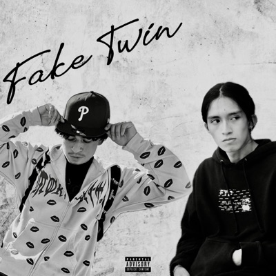 Fake Twin! (feat. Frxnkystein) - Single