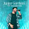 Junior Gardinni - Te Encontrei