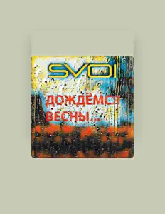 SVOIを聴いたり、ミュージックビデオを鑑賞したり、経歴やツアー日程などを確認したりしましょう！