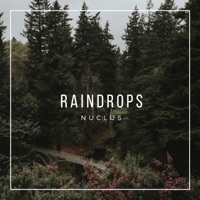 Raindrops - Single - nuclus
