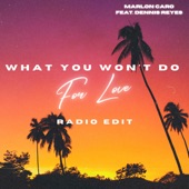 What You Won't Do For Love (Radio Edit) artwork