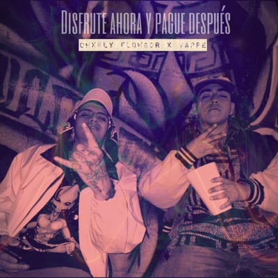 Disfrute Ahora y Pague Después (feat. VAPPE) - Single