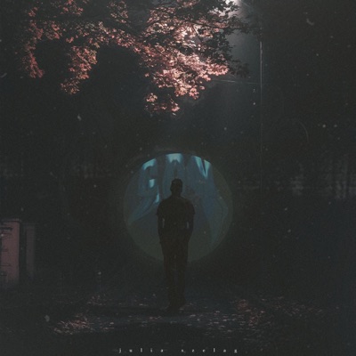 CDN (ciąg dalszy nastąpił) - Single