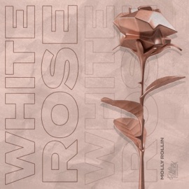 White Rose Molly Rollin