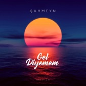 Gel Diyemem artwork