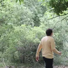 Luister naar Fran Abbon, bekijk muziekvideo's, lees de bio, bekijk de tourdata, en meer!