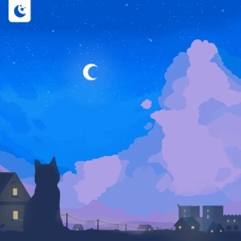 Shimmering Nights a\wshhine & Ahry