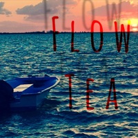 Flow Tea - Single - FLOW TEA