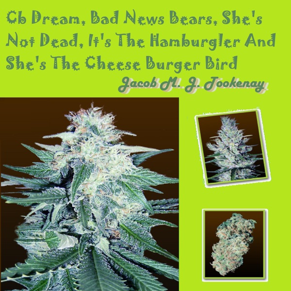 Cb Dream, Bad News Bears, She's Not Dead, It's The Hamburgler And She's The Cheese Burger Bird