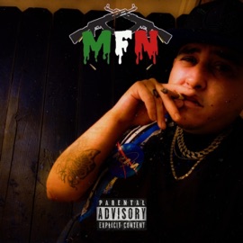 That Dumb Shit (feat. GGTBR WHODINIDAKING, Ricky Rich & Majuste) MFN Roostone