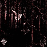 NEVER LET (feat. Helli) - Single - ARAGOTH