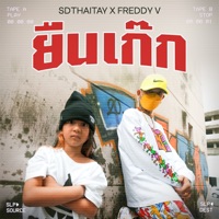 ยืนเก๊ก (feat. Freddy V Southside) - Single - SDthaitay