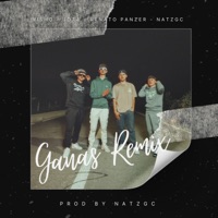 Ganas (feat. NatzGC, Visho & JOTAA) [Remix] - Single - Renato Panzer