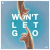 Won't Let Go - Single