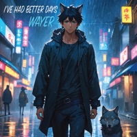 I've Had Better Days - Single - Wayer