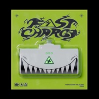 Fast Charge - SIGGY
