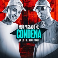 Meu Passado Me Condena (feat. DJ Negritinho) - Single - MC L3