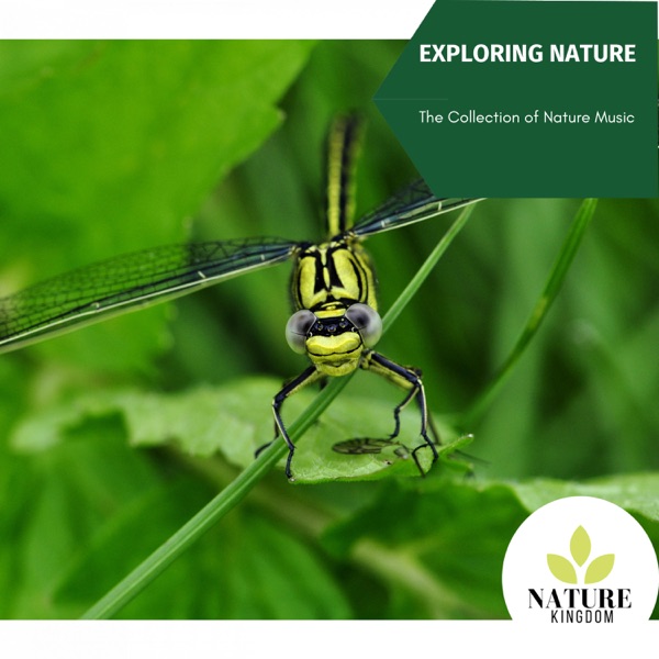 Exploring Nature - The Collection of Nature Music
