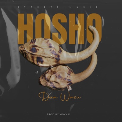 Hosho Dza Wasu - Single