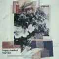80' Proof