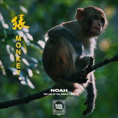 MONKEY (猿) - Single