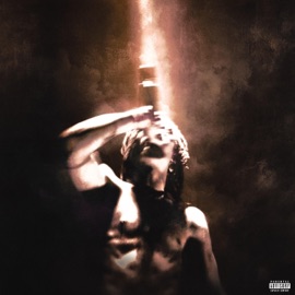 Soulja Supremacy (feat. Tsm Beeezy) Desire