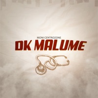 Dr Malume (feat. Q Chief) - Single - Moni Centrozone