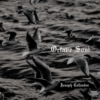 Octave Soul - Single
