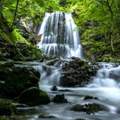 Waterfall Relaxing Music With Nature Sounds artwork