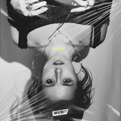 mood (feat. Noyade) - Single