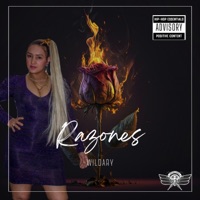 Razones - Single - wildary official