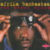 Afrika Bambaataa & The Soulsonic Force - The Dance Album kunstwerk