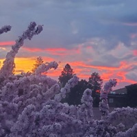 Reason - Single - Flux