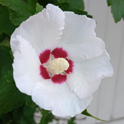 Numb×1,000 - Single