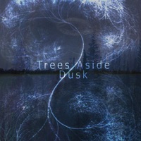 Dusk - Single - Trees Aside
