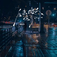 后来傻瓜寒了心 - EP - 蒋崇伟