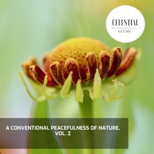 A Conventional Peacefulness of Nature, Vol. 2