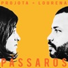 Pássaros - Single