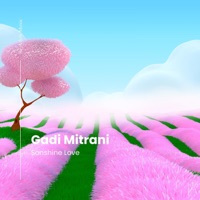 Sonshine Love (Radio Edit) - Single - Gadi Mitrani