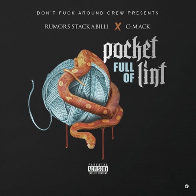 Pocket Full of Lint (feat. C-Mack) - Single