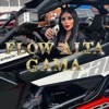 Flow Alta Gama - Single