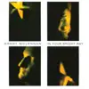 Grant McLennan - In Your Bright Ray