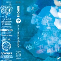 Amor in Abundance - NIKO IS, Thanks Joey & Sahar