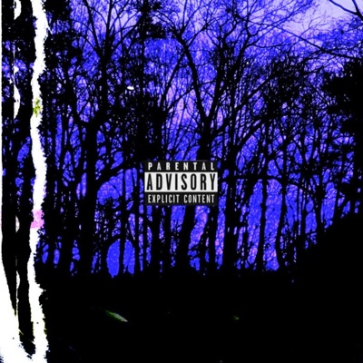 Purple scars (feat. My odds) - Single