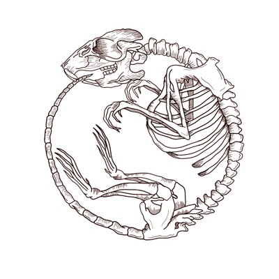 RPV (Revolución Por Vida)