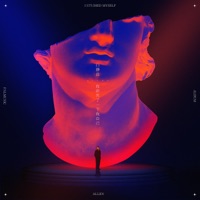 我研究了一下我自己 - Allen