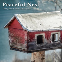 Peaceful Nest - Single - Tommy Berre & Roberto Dalla Vecchia